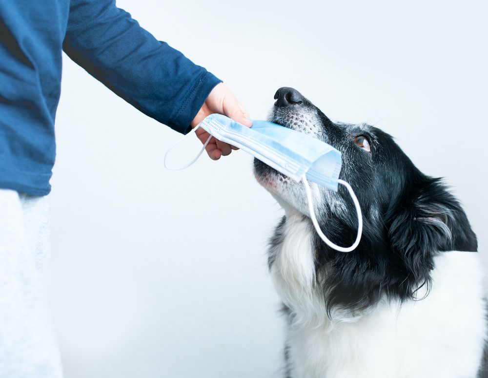 Editorial, December 3, 2021